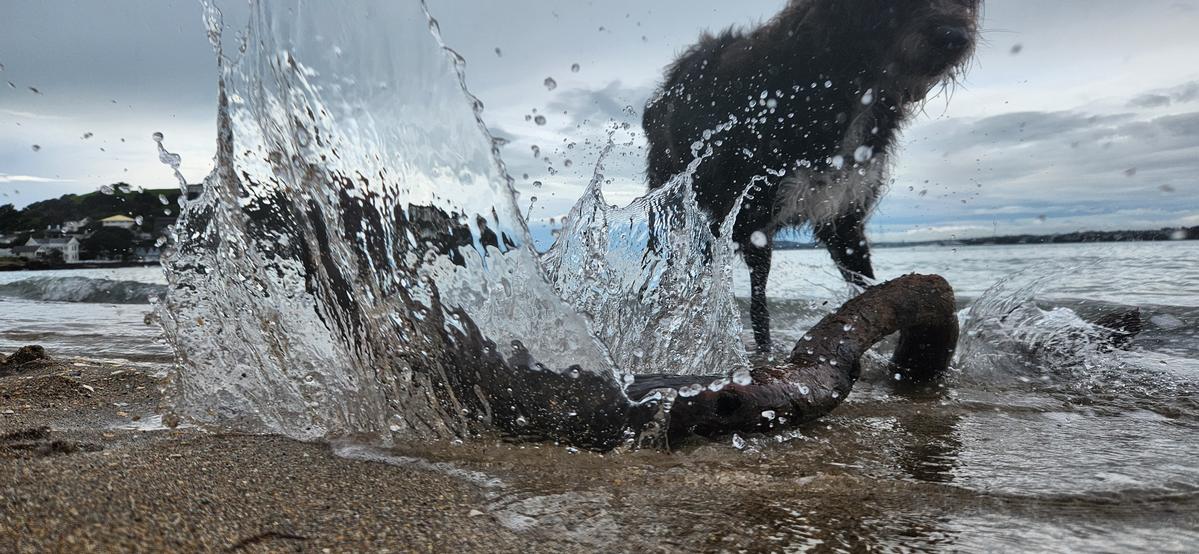 Inge Wisserlink Torpedo Splash
